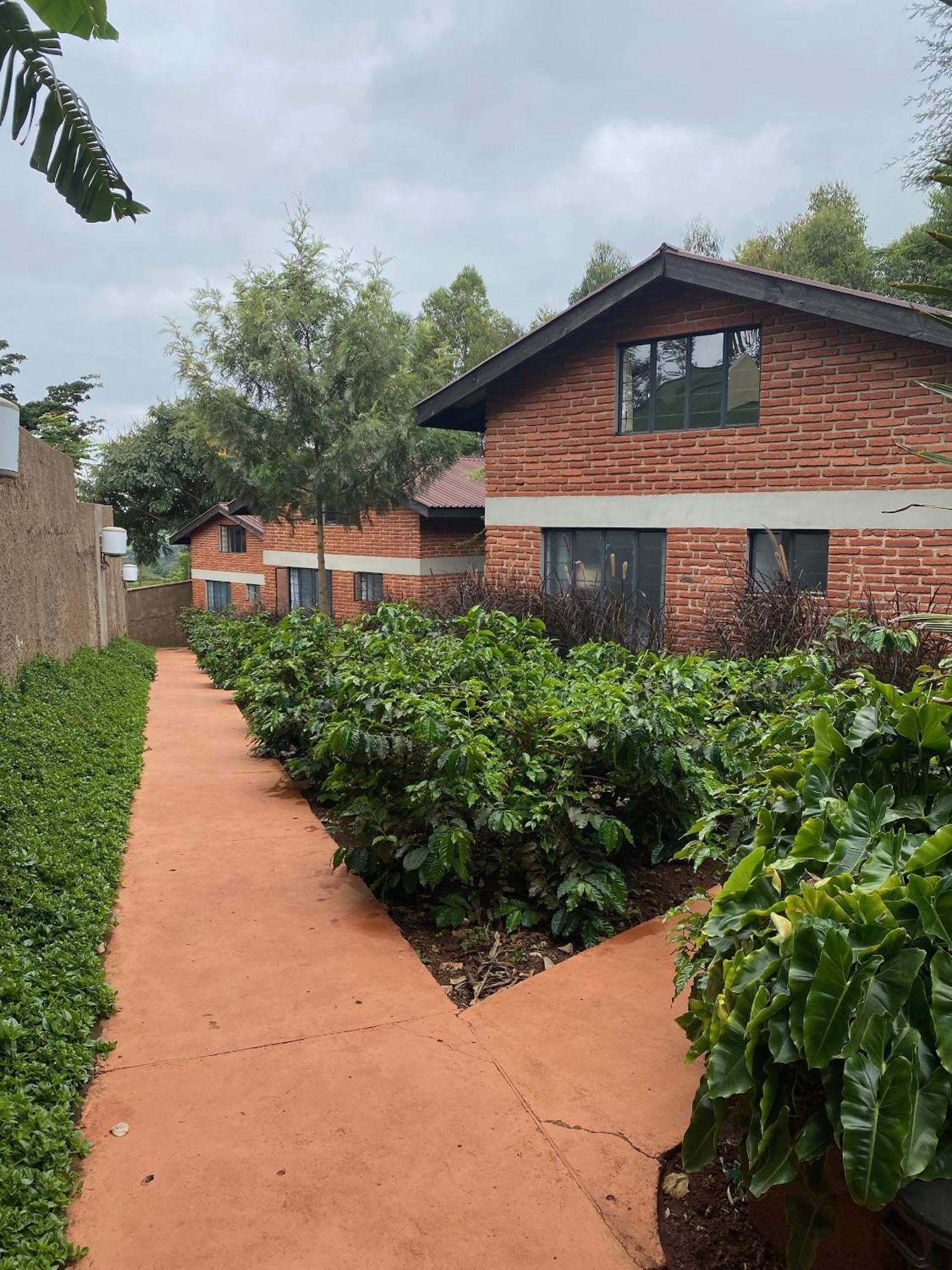Lilac Hideaway Karatu Exterior photo